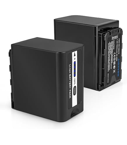 Amazon.com: BM Premium VW-VBD58 Battery for Panasonic AG-VBR59